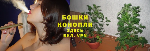 индика Кулебаки