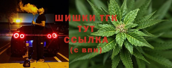 индика Кулебаки