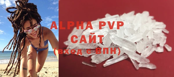 индика Кулебаки