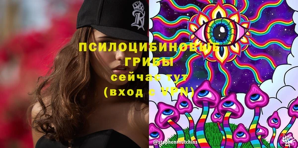 индика Кулебаки