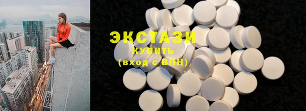 индика Кулебаки