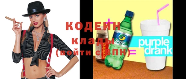 индика Кулебаки