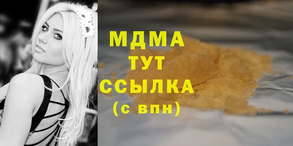 индика Кулебаки