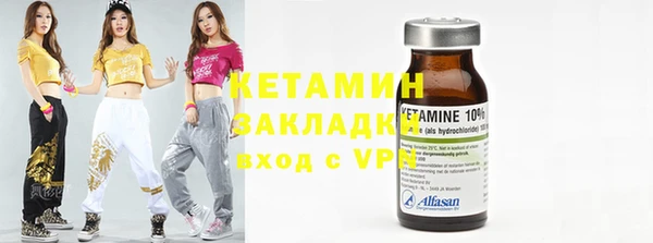 индика Кулебаки