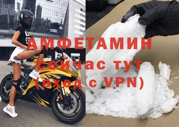 индика Кулебаки