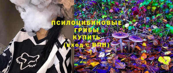 индика Кулебаки