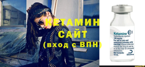 индика Кулебаки