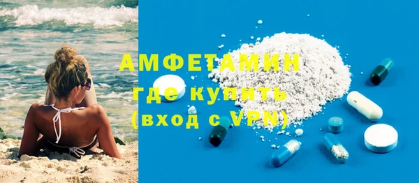 индика Кулебаки