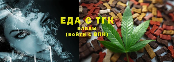 индика Кулебаки